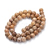 Natural Maifanite/Maifan Stone Beads Strands X-G-P451-01A-C-4