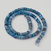 Shell Beads Strands X-SSHEL-E571-49B-2