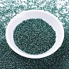 MIYUKI Delica Beads SEED-X0054-DB0607-2