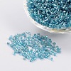 Two Cut Glass Seed Beads X-CSDB23-1