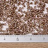 MIYUKI Delica Beads X-SEED-J020-DB1759-4