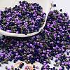 Baking Paint Glass Seed Beads SEED-S042-05B-54-1
