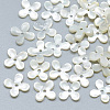 Natural White Shell Beads SSHEL-S260-056A-01-1