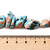 Dyed Natural Magnesite Beads Strands G-L617-A01-01-5