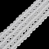 Transparent Glass Beads Strands EGLA-A044-T2mm-MD19-2