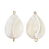 Natural Shell Teardrop Connector Charms X1-STAS-D378-28G-1