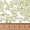 Baking Paint Glass Seed Beads SEED-F006-01A-07-4