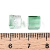 Baking Paint Transparent Glass Beads DGLA-N005-01A-05-4