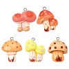 30Pcs 5 Styles Resin Pendants RESI-CJ0005-20-1