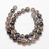 Natural Dragon Veins Agate Bead Strands G-K166-14-8mm-01-2