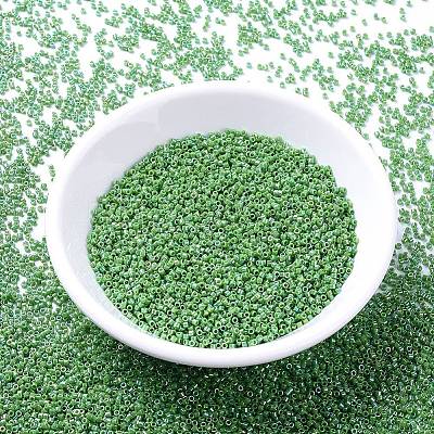 MIYUKI Delica Beads SEED-MY11-DB0163-1