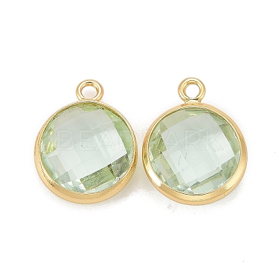 Glass Charms KK-C228-02G-18-1