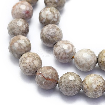 Natural Conch Fossil Beads Strands G-K310-A07-10mm-1