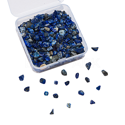 Natural Lapis Lazuli Chip Beads G-CJ0001-25-1