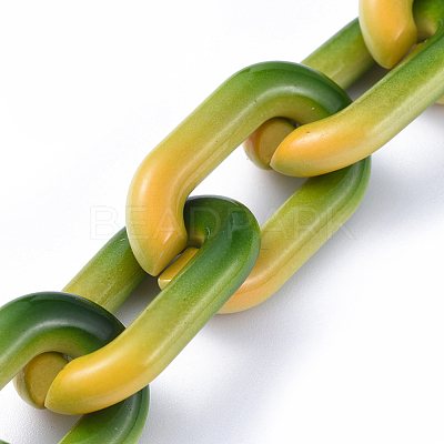 Handmade Acrylic Cable Chains AJEW-JB00589-02-1