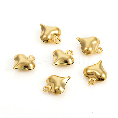 304 Stainless Steel Charms LS-STAS-I149-05A-G-1