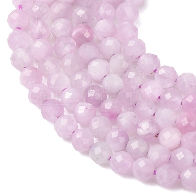 Natural Kunzite Beads Strands G-G259-D11-3mm-01-1