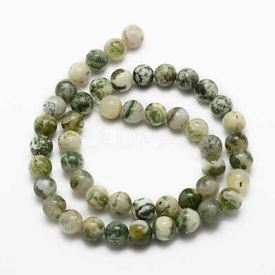 Natural Tree Agate Beads Strands G-G735-02-6mm-1