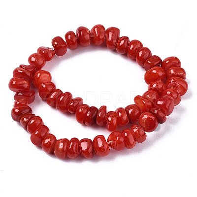 Natural Freshwater Shell Beads Strands X-SHEL-S278-041-1