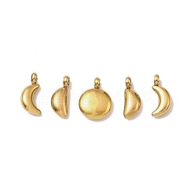 5Pcs 304 Stainless Steel Charms STAS-M017-14G-1