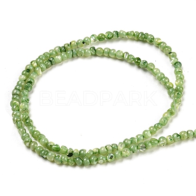 Natural White Shell Dyed Beads Strands BSHE-Z005-03E-1