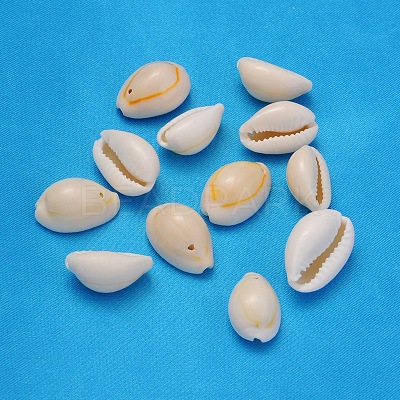 Natural Cowrie Shell Beads BSHE-S056-1