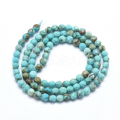 Natural Magnesite Beads Strands G-D0012-01A-1