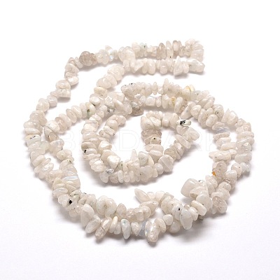 Natural Rainbow Moonstone Chip Bead Strands G-M205-62-1