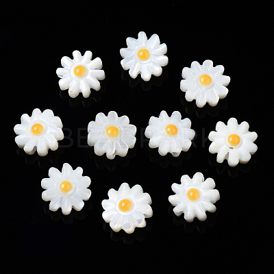 Natural Freshwater Shell Beads SHEL-N003-20B-01-1