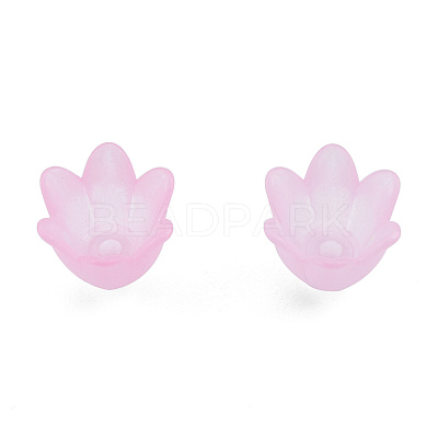 Opaque & Transparent Acrylic Beads MACR-T045-01C-1