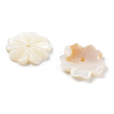 Natural Freshwater Shell Beads SHEL-Z002-02-1