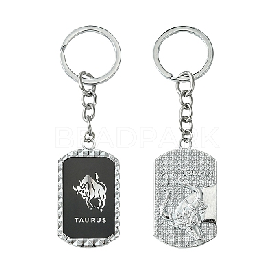 Alloy Enamel Keychain KEYC-YW00022-04-1