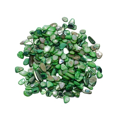 Natural Shell Beads BSHE-WH0001-06-1