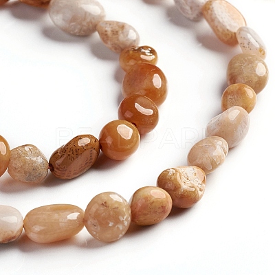 Natural Fossil Coral Beads Strands G-D0002-B36-1