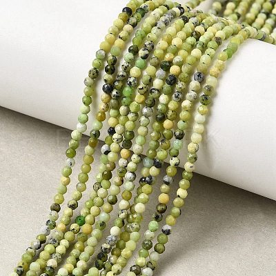 Natural Serpentine Beads Strands G-P603-C-2mm-06-1