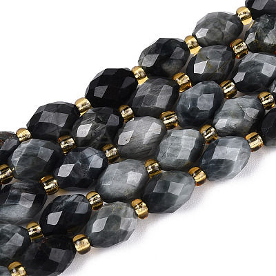 Natural Eagle Eye Stone Beads Strands G-N342-35-8x6-03-1