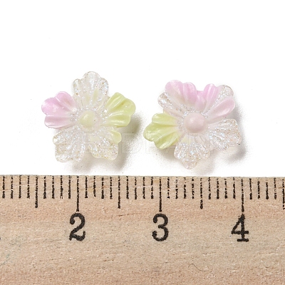 Luminous Transparent Resin Decoden Cabochons RESI-D013-06D-1