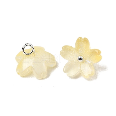 Glass Charms GLAA-G127-05D-1