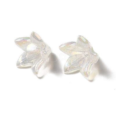 Transparent Acrylic Bead Caps LS-X-OACR-H016-03-1