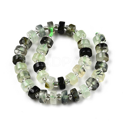 Natural Prehnite Beads Strands G-N327-07H-1
