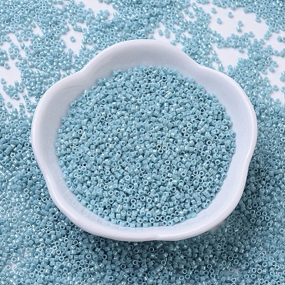 MIYUKI Delica Beads SEED-MY11-DB0217-1
