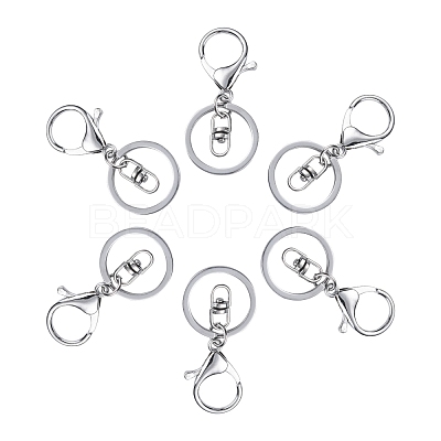 Iron Alloy Lobster Claw Clasp Keychain KEYC-D016-P-1