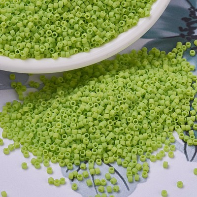MIYUKI Delica Beads X-SEED-J020-DB0763-1