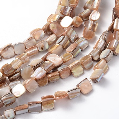 Erose Shell Beads Strands PBB071Y-1