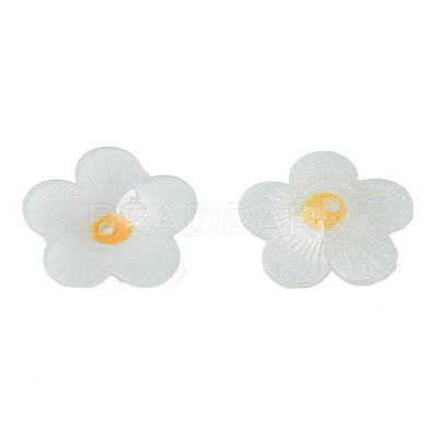 Plastic Beads KY-N015-173-1