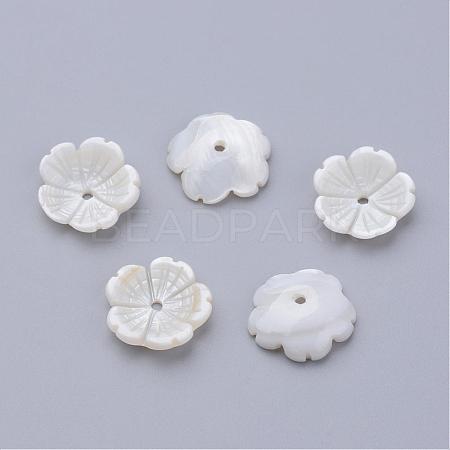 Natural Freshwater Shell Beads SHEL-Q007-09-1