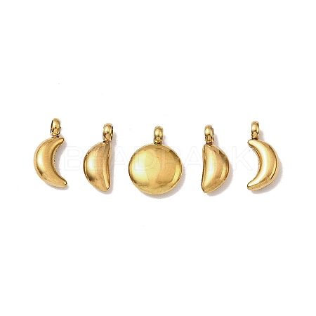 5Pcs 304 Stainless Steel Charms STAS-M017-14G-1