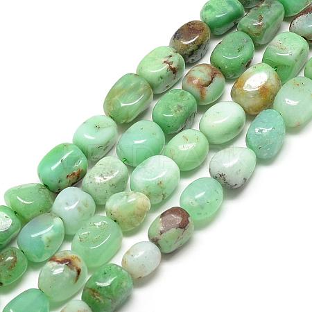 Natural Australia Jade Beads Strands G-R429-01-1