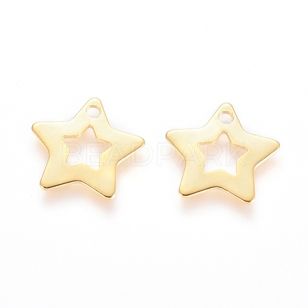 201 Stainless Steel Charms STAS-K154-10G-A-1
