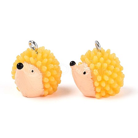 Autumn Theme Opaque Resin Pendants X-RESI-T028-78-1
